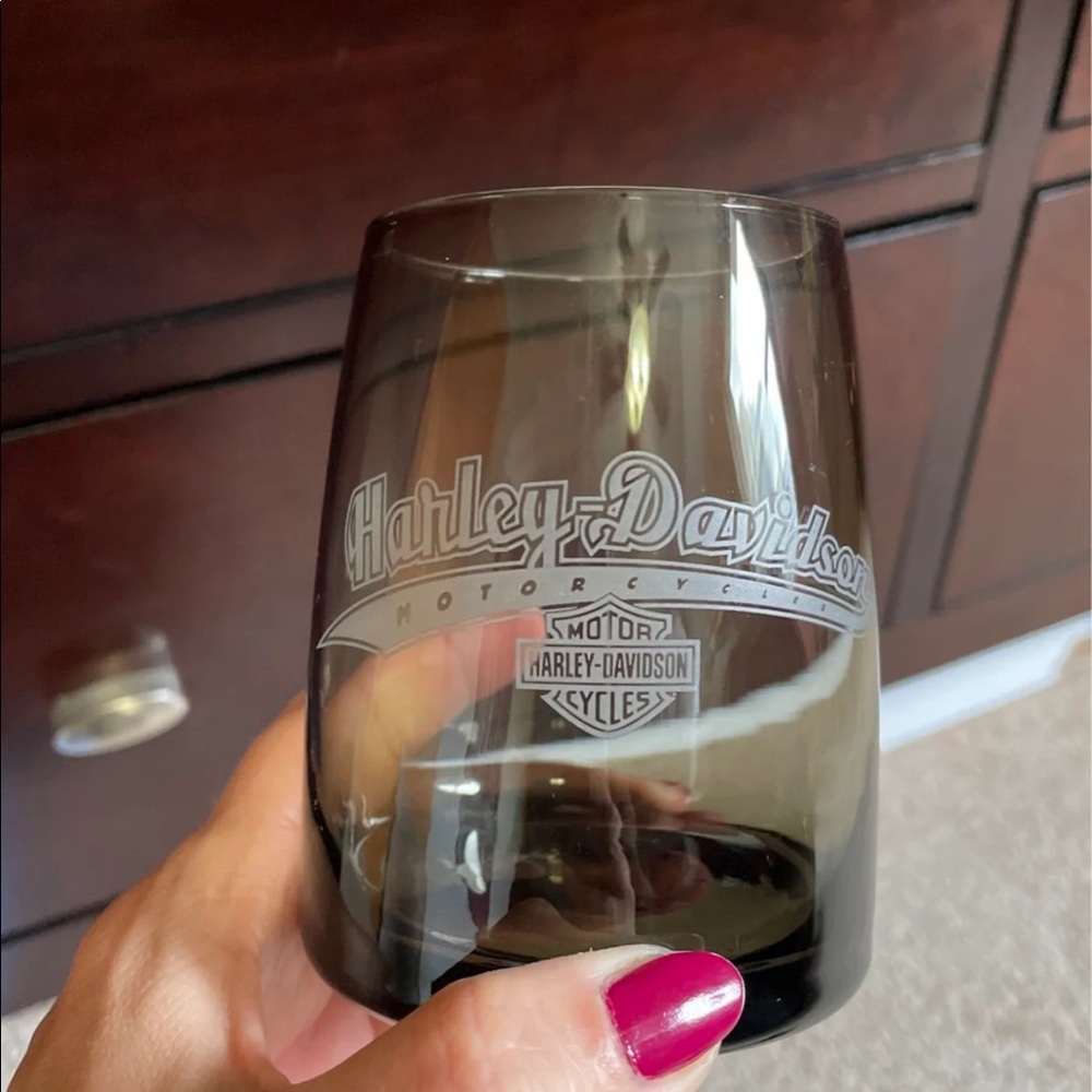Harley-Davidson glasses